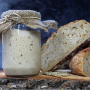 Sourdough Starter